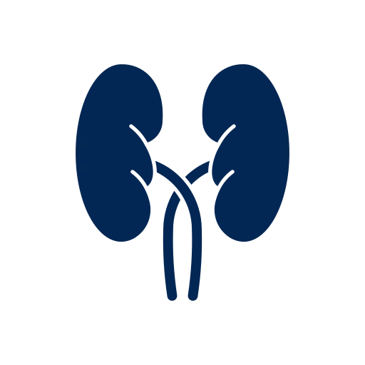Kidney Transplantation